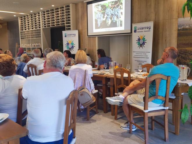 Konferencia vinárov